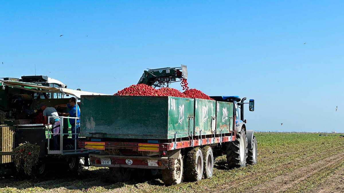 Natalia García-Camacho en HxH Vegas Altas