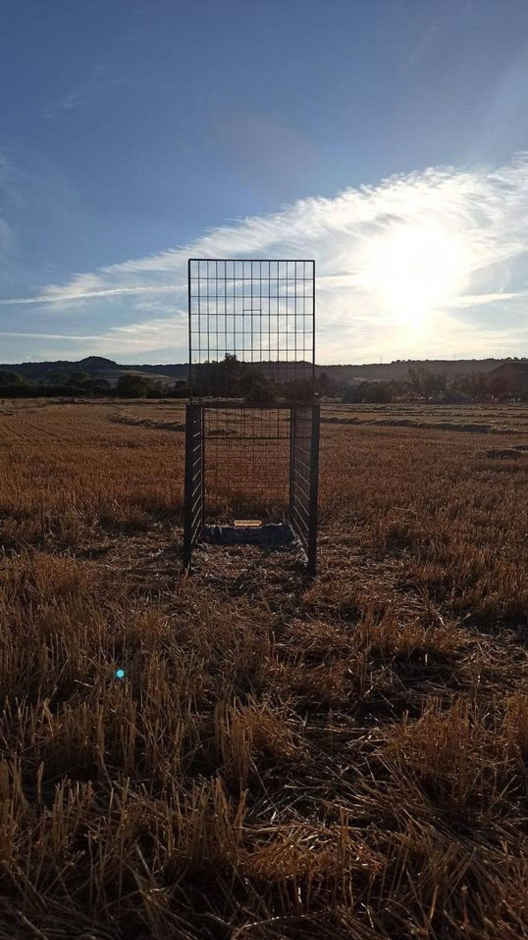 Llamamiento desesperado de la protectora de animales de Palencia