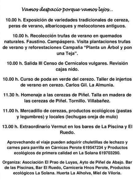 Actividades programadas en la III Feria de la Cereza y Trufa de Verano