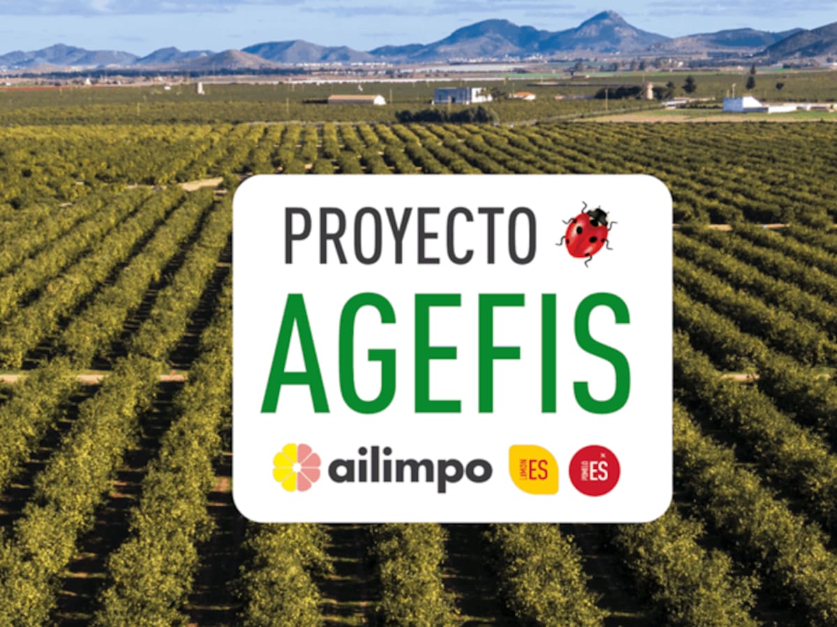 AILIMPO alcanza el hito histórico de 100 estaciones de monitoreo AGEFIS: Un escudo tecnológico para el Limón y Pomelo Español