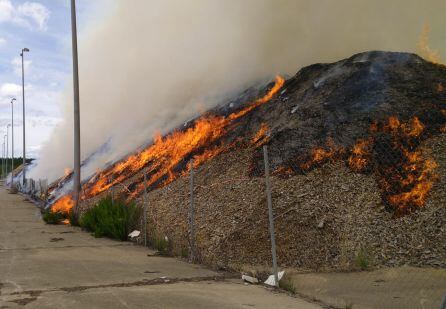 Las llamas activaron la alerta a los bomberos de Ponferrada