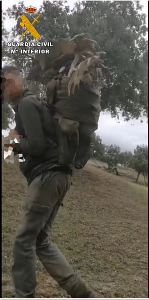 Una de las personas investigadas, transportando cuernas y astas.