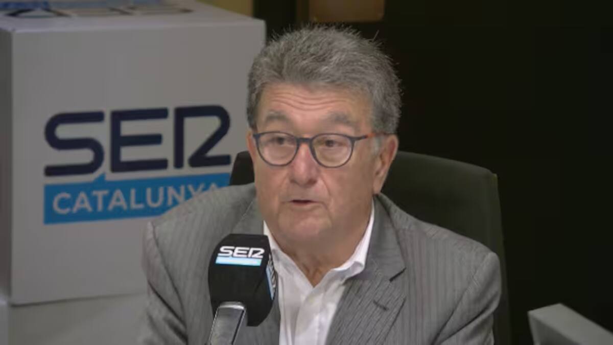Un exdelegat de Red Eléctrica fixa un termini d'una setmana per conèixer l'origen de l'apagada: "No podem esperar més"