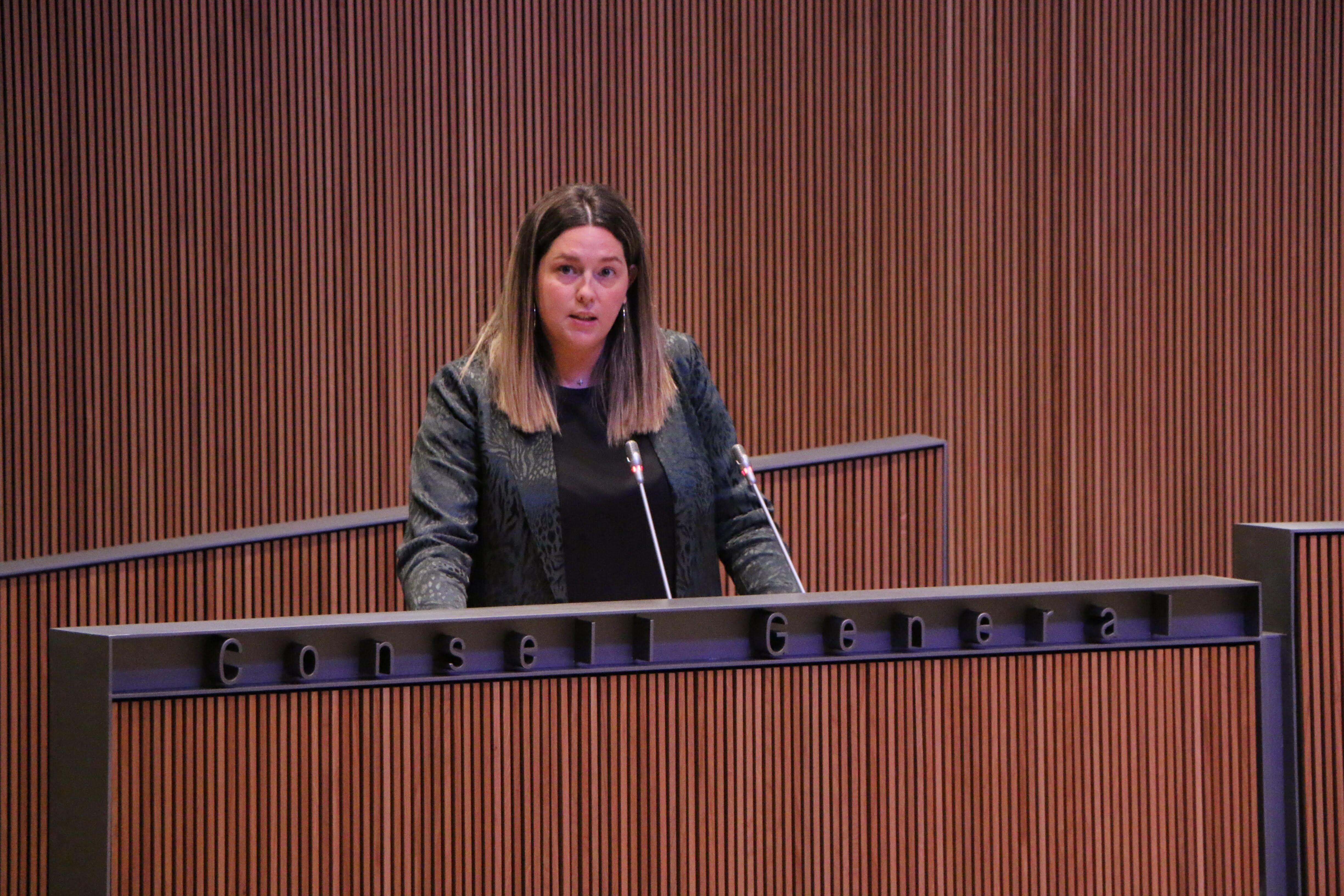 La consellera general Demòcrata, maria Martisella, s'uneix a l'argument del greuge comparatiu amb altres tipus de violència que no reconeix el conveni d'Istanbul