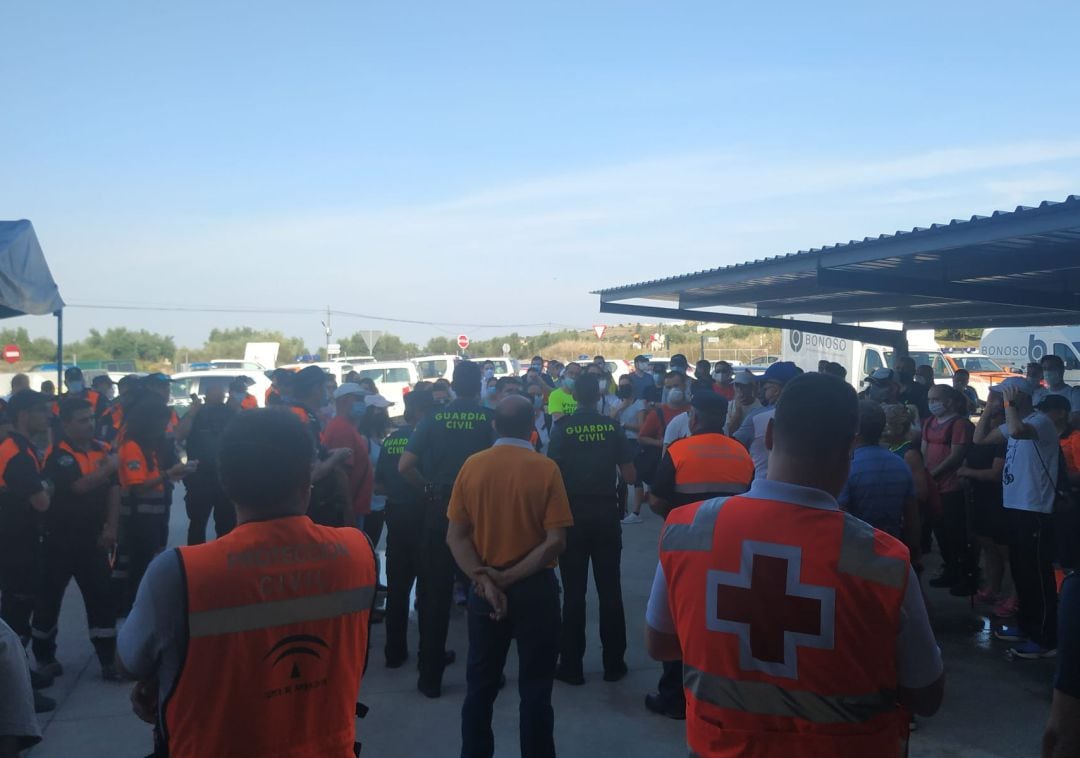 Participantes en la búsqueda del vecino desaparecido en Arjona.