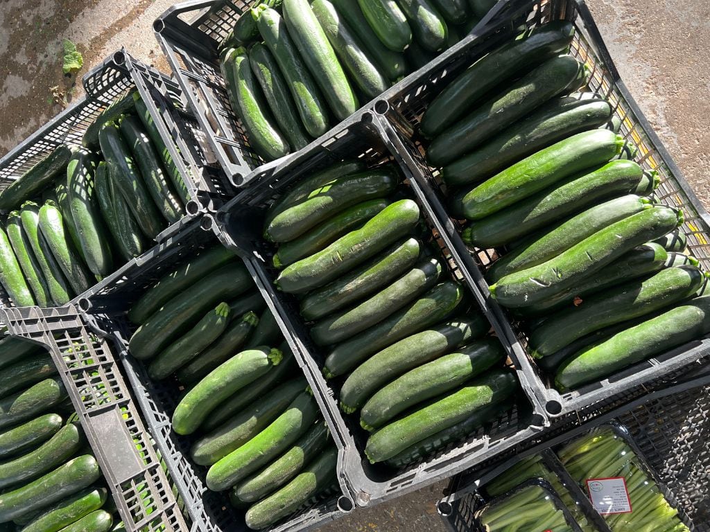 El pepino es perfecto para las temporadas de calor ya que es hidratante.