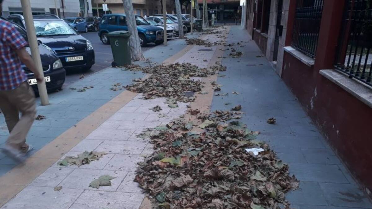 ¿Por qué agosto parece otoño?
