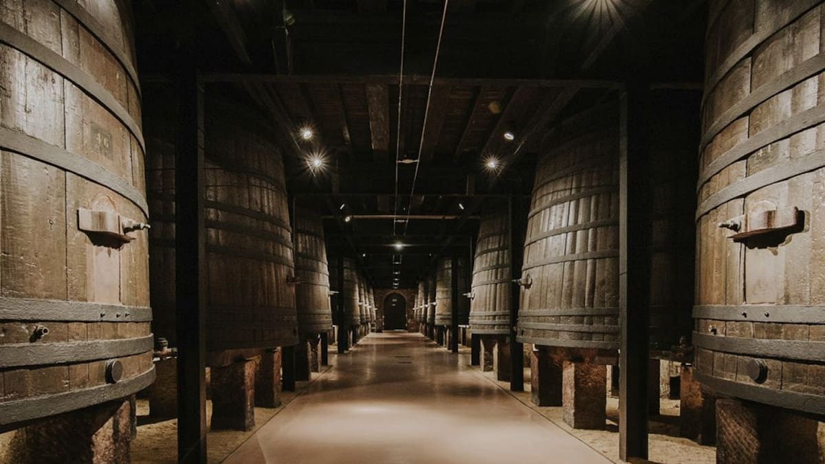 La Primera Llamada del Día con el presidente de Bodegas de Logroño, Borja Eguizábal.