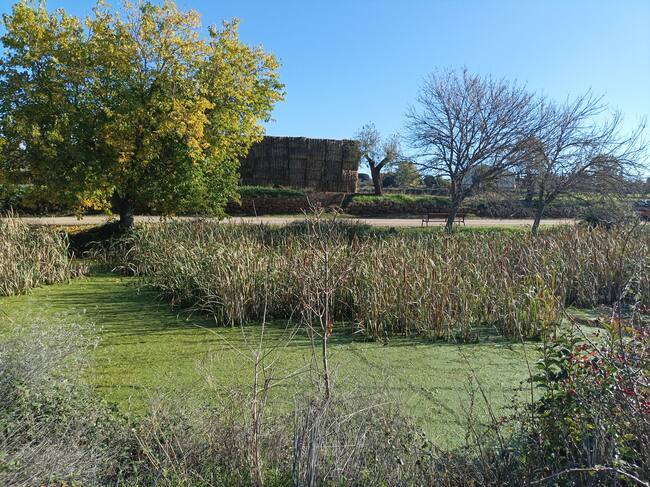 Balsa de Bierge. Foto: Comarca de Somontano