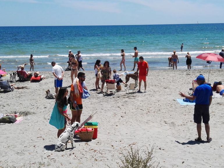 Playa para perros de Pinedo (Valencia)