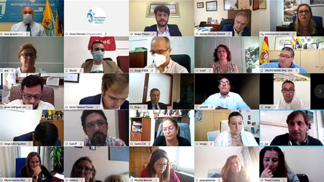 Un momento del pleno telemático de hoy.