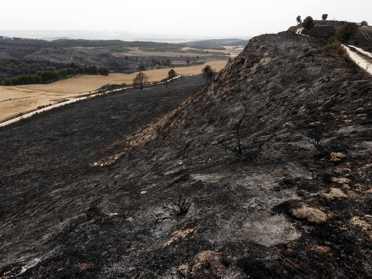 Bomberos continúan vigilando los incendios de Leyre y Tafalla