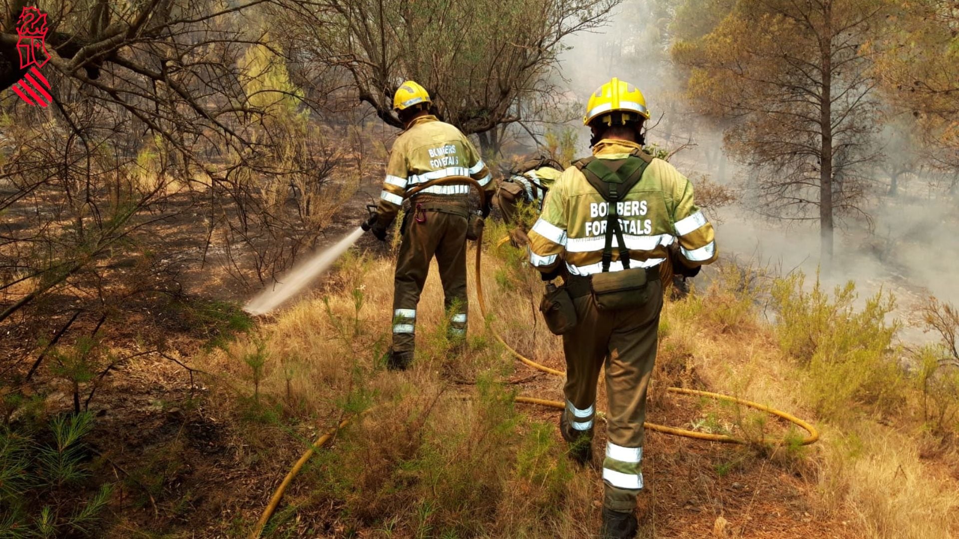 IMagen de archivo de varios bomberos forestales en el incendio de Bejís el pasado verano