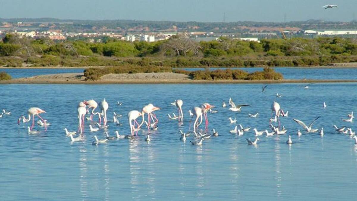 Entrevista a Juan Antonio Ibarra, técnico de Proyectos Europeos