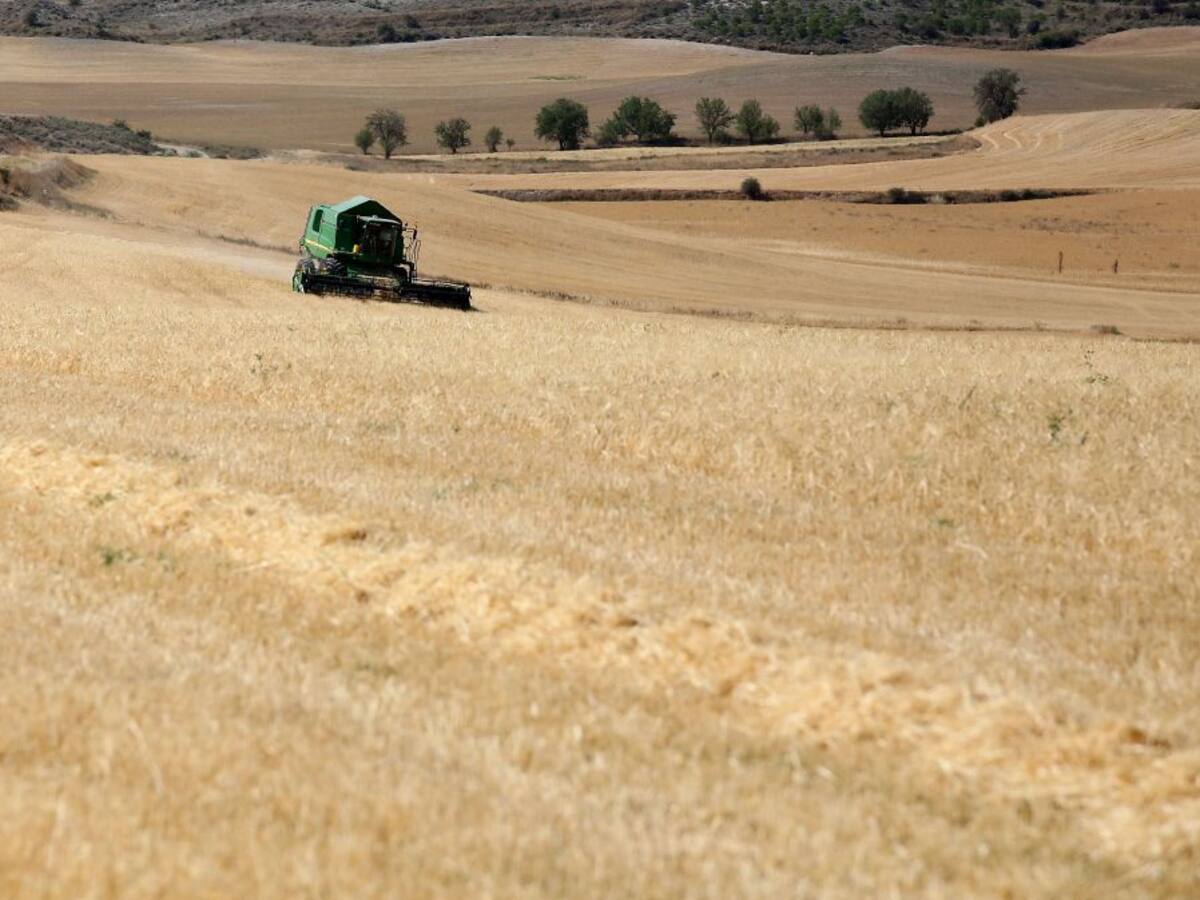 Castilla y León declara alarma de riesgo de incendios por causas meteorológicas