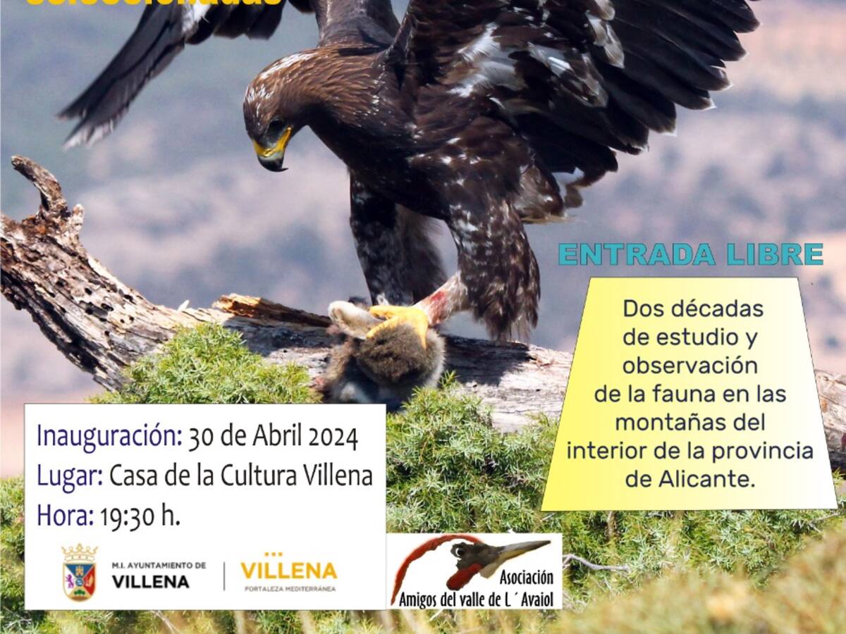 180 fotografías mostrarán la fauna de las montañas del interior de la provincia