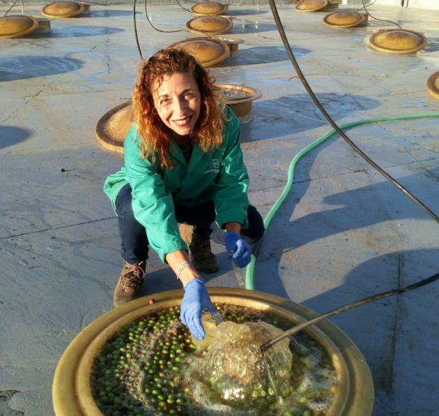 Nuria Yáñez, directora técnica de Almazaras de la Subbética