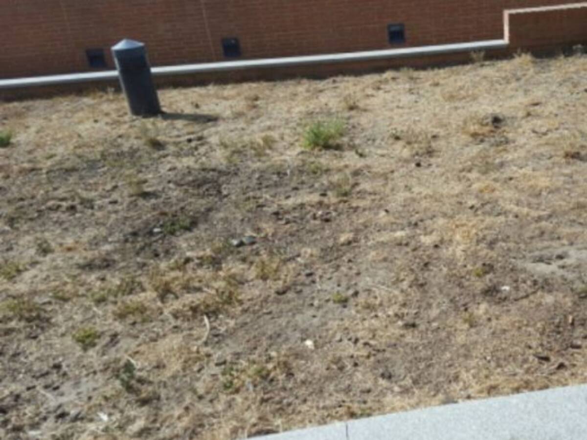 Denuncian el abandono de los parques