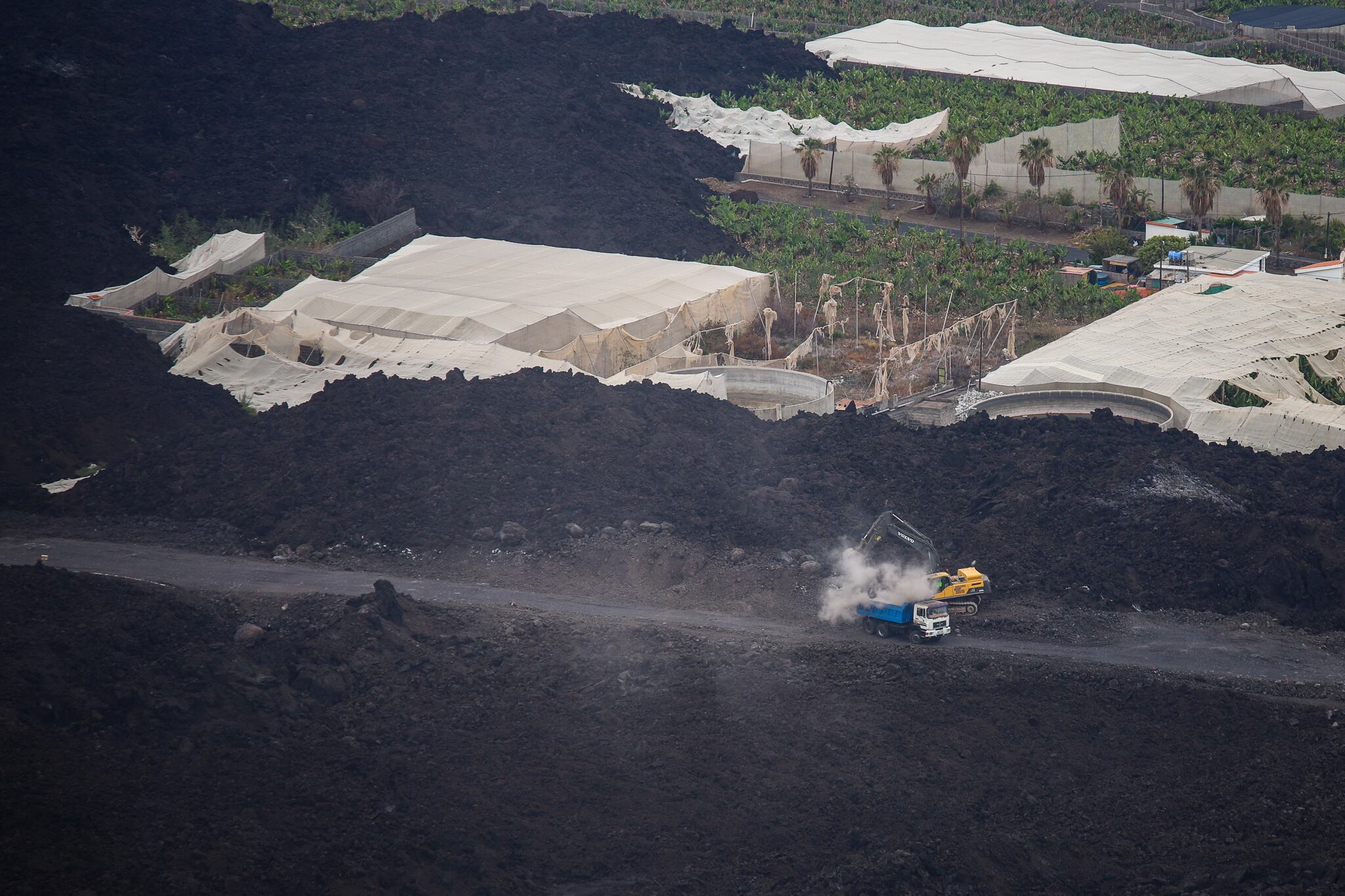 GRAFCAN6120. LOS LLANOS DE ARIDANE (LA PALMA), 13/06/2022.- Transcurridos seis meses desde el final de la erupción en La Palma, las administraciones avanzan en la reconstrucción, los vecinos damnificados tratan de recuperar sus proyectos de vida, y la isla cuenta con un 8% de su superficie ocupada por coladas y un nuevo volcán aún sin nombre. En la imagen, detalle de unos cultivos de plátano parcialmente sepultados por una colada de lava en Los Llanos de Aridane. EFE/Luis G. Morera