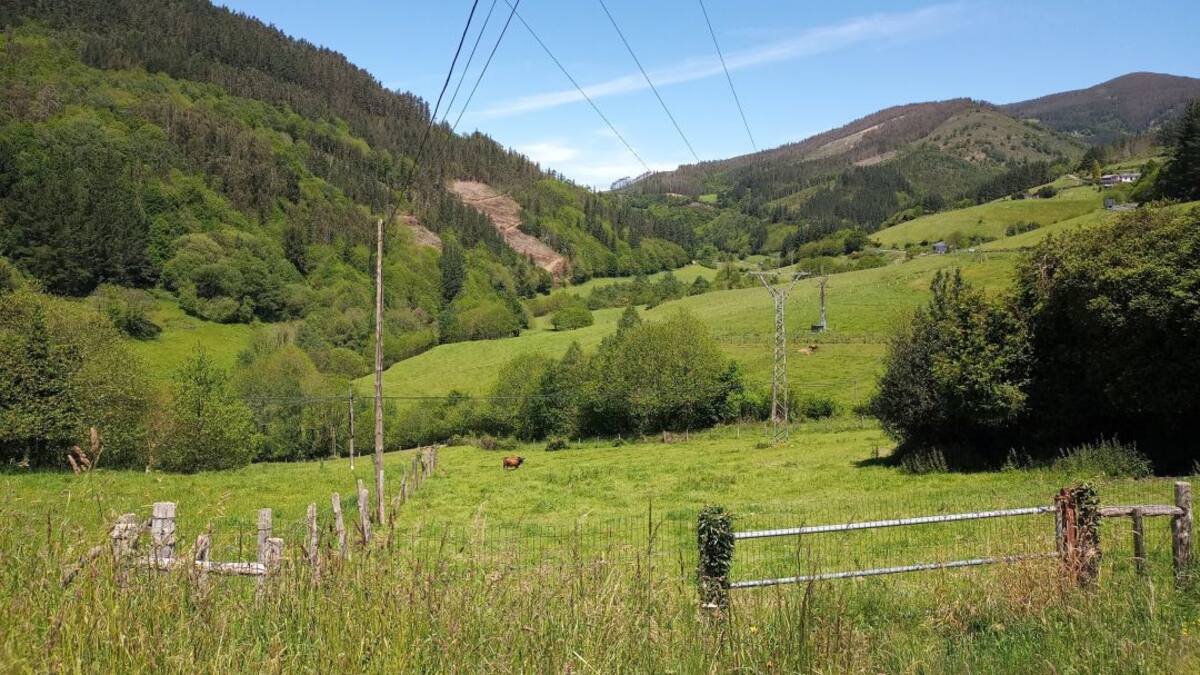 Mesa de redacción | La fiebre eólica: apagar los pueblos para iluminar las ciudades