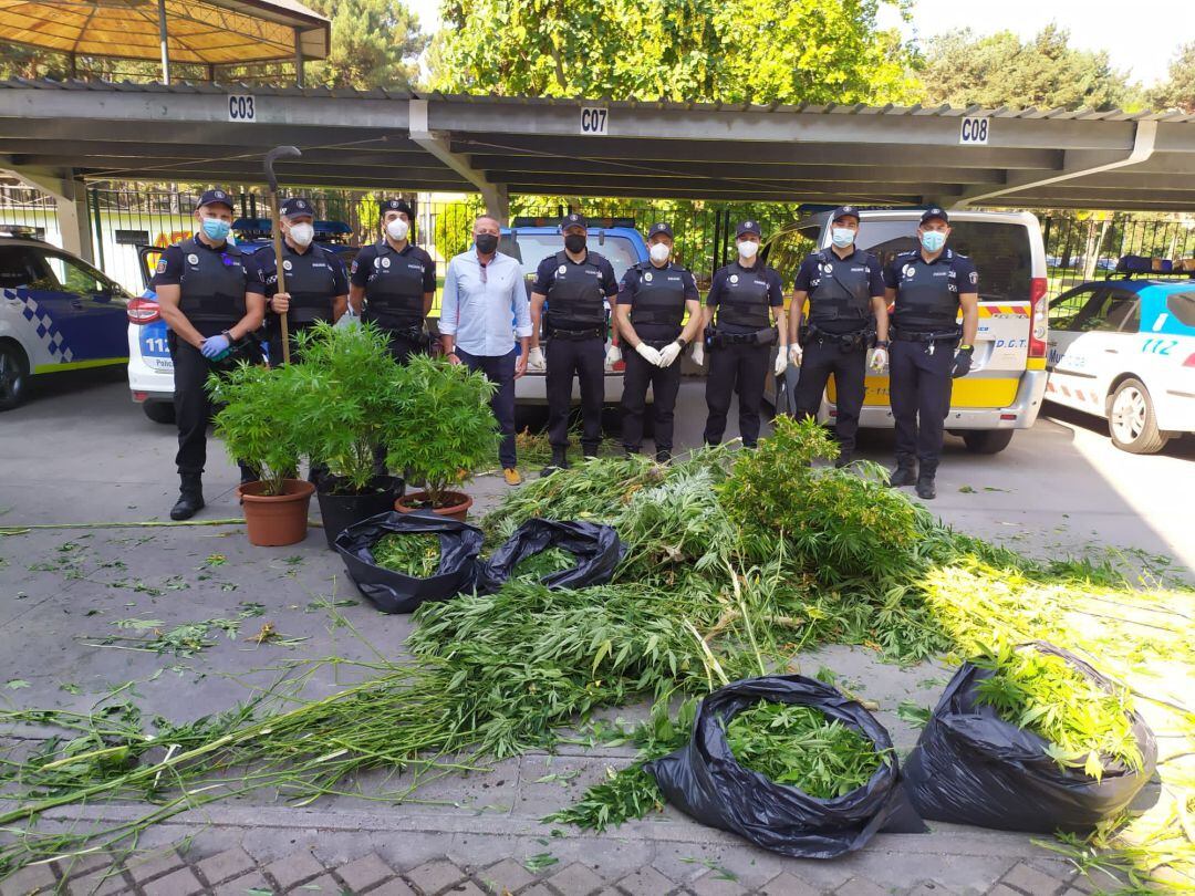 Las plantas decomisadas por la policía municipal