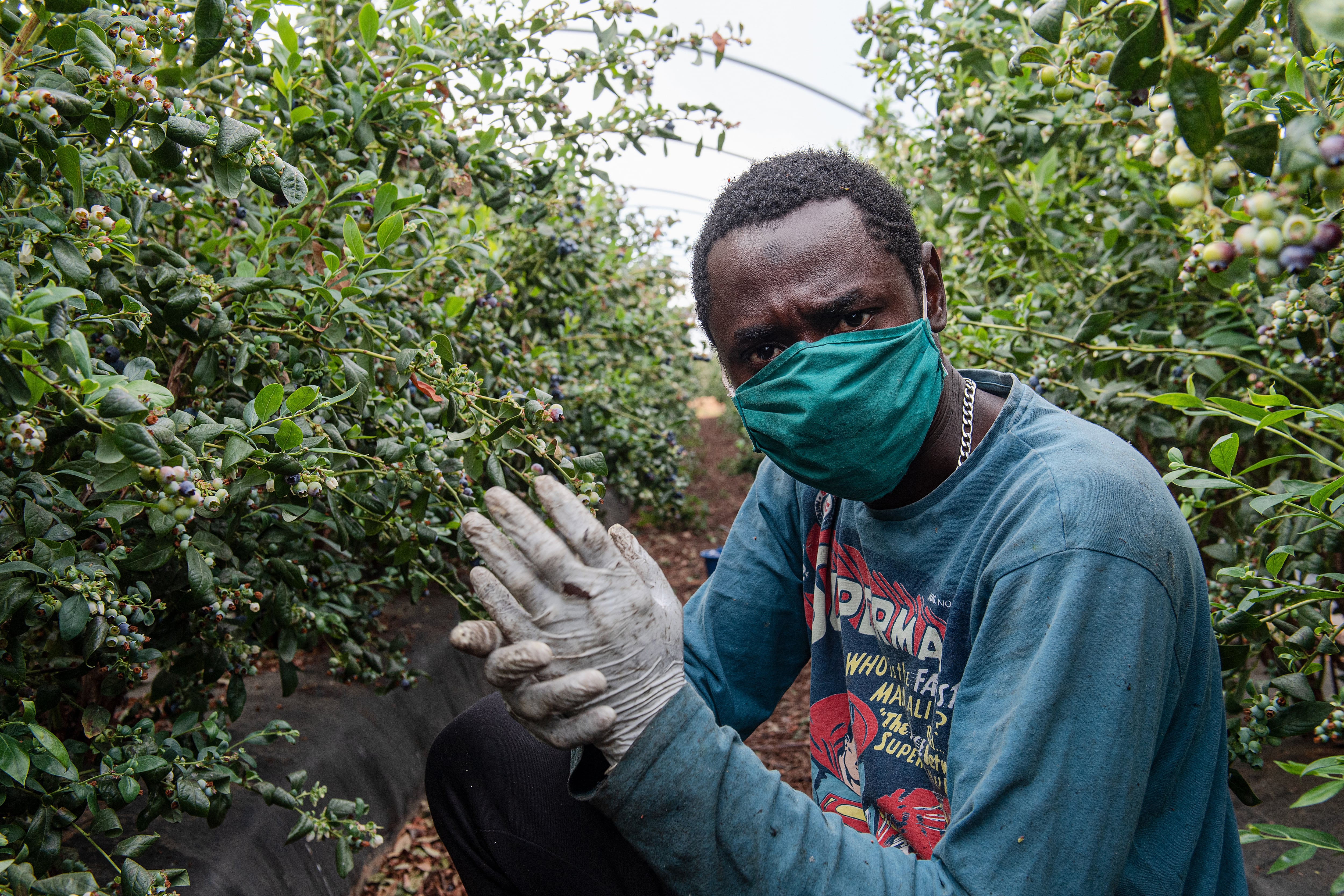 Trabajador migrante en España (archivo)