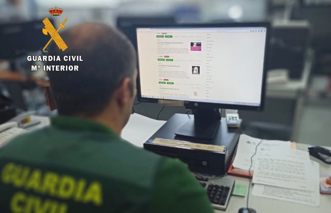 Agente de la Guardia Civil, durante una investigación