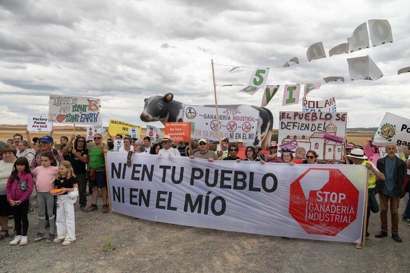 Manifestación en Novierca