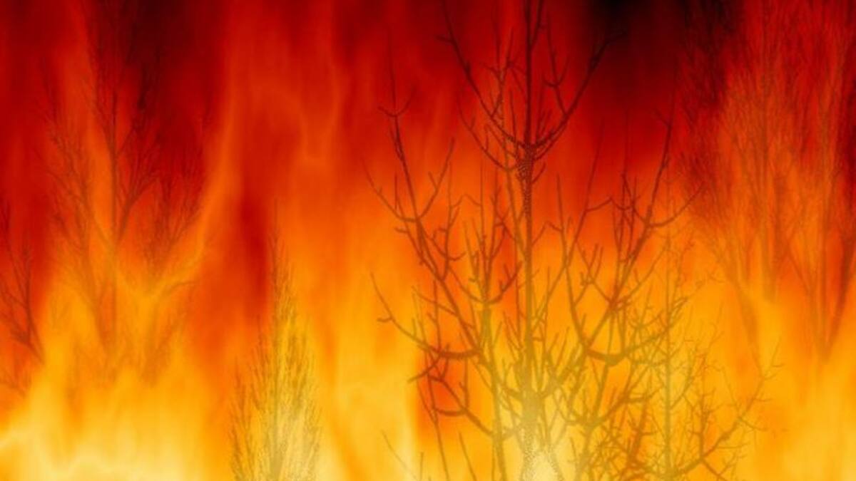 Miguel Ángel Sotuela, alcalde de Ribas de Sil (19/07/2016)