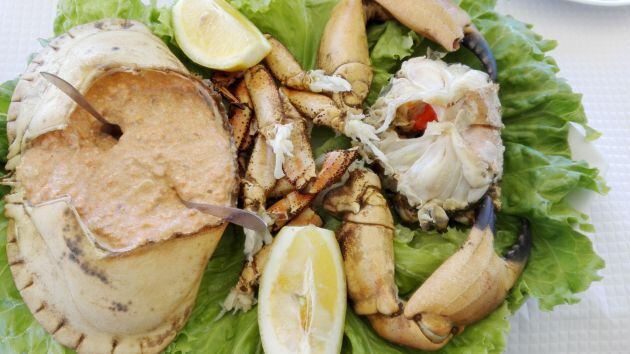 Sapateira en Qatro Aguas, Tavira