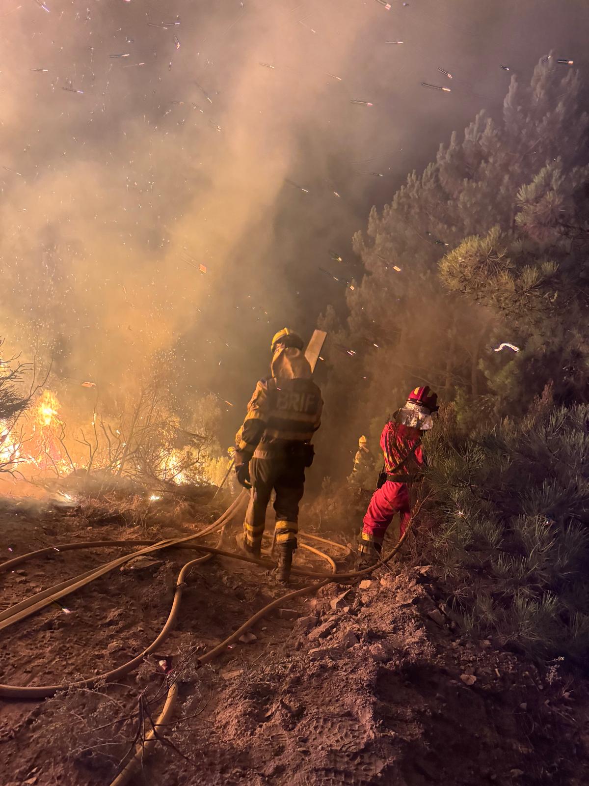 Trabajos UME Yeres y Llamas