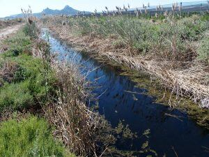 Acequia de Rey. Villena