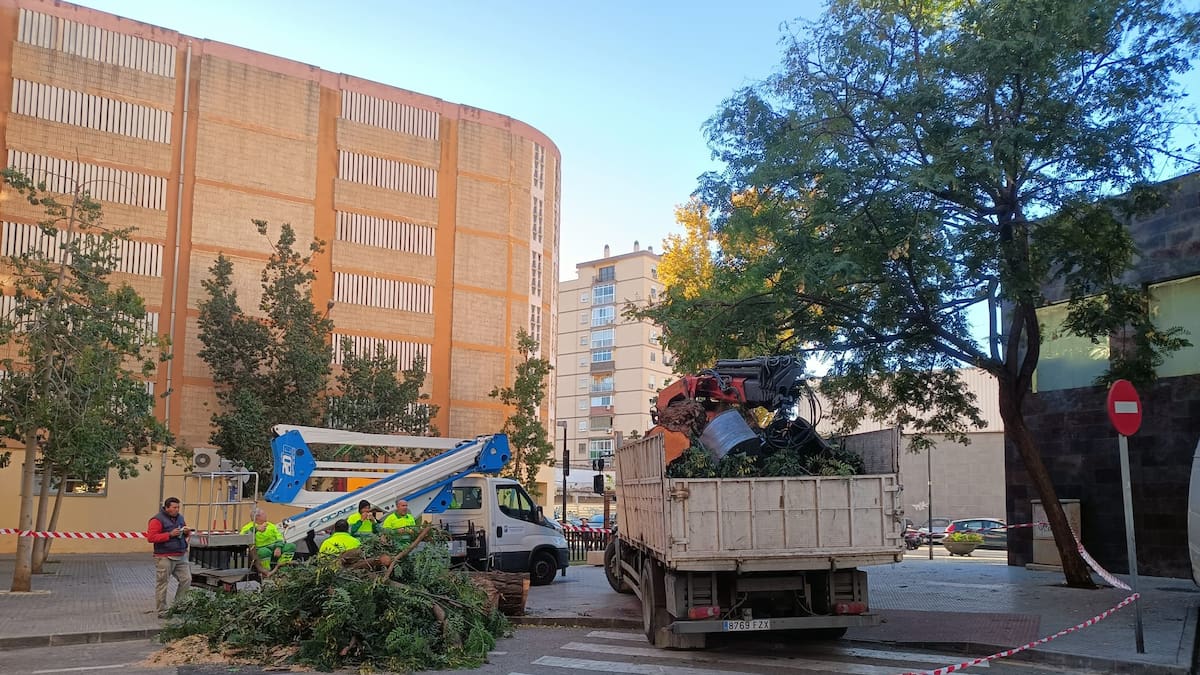 "Era realmente peligroso" F Romero, Solidaridad