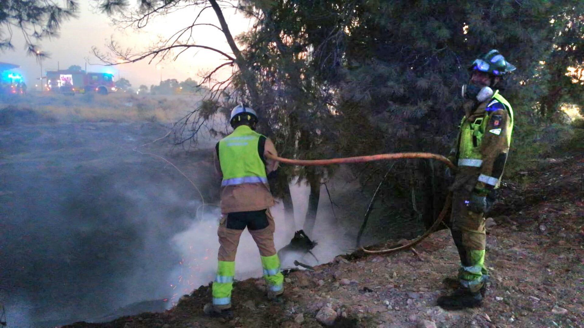 06/08/2025 Bomberos del Servicio de Extinción de Incendios y Salvamento del Ayuntamiento de Murcia sofocan un incendio de pinos y matorral en Churra
SOCIEDAD ESPAÑA EUROPA MURCIA
IMAGEN FACILITADA POR AGENTE MEDIOAMBIENTAL