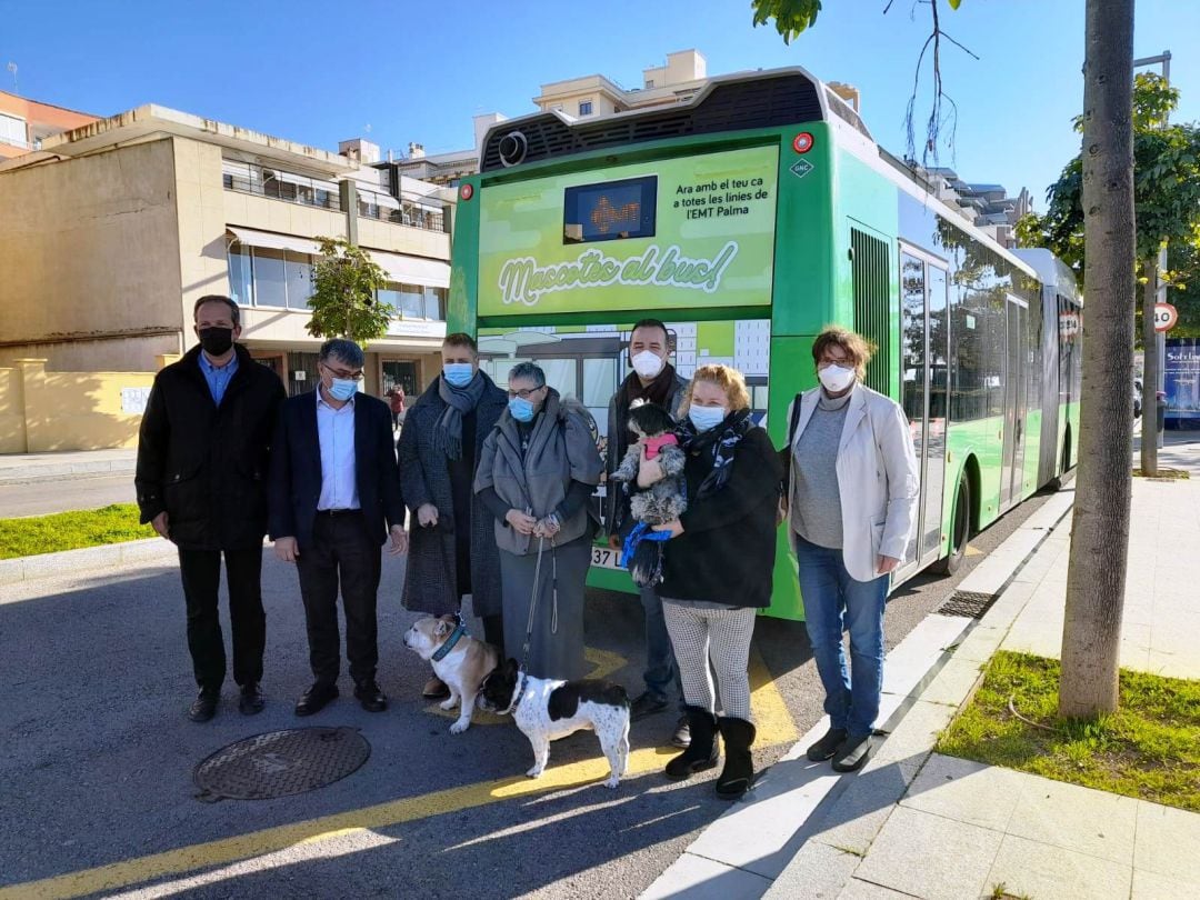 Los perros y otras mascotas podrán subir a todos los autobuses de  la EMT