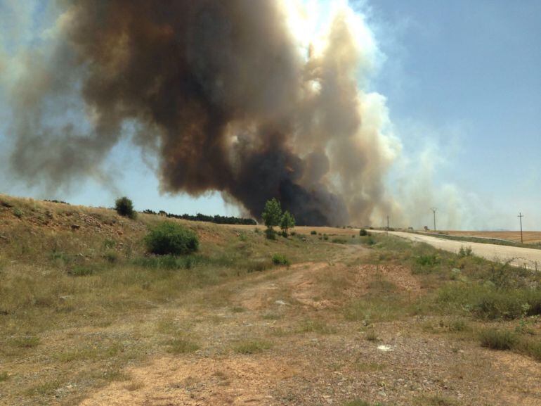 El incendio en Noviercas arrasó 70 hectáreas de terreno.