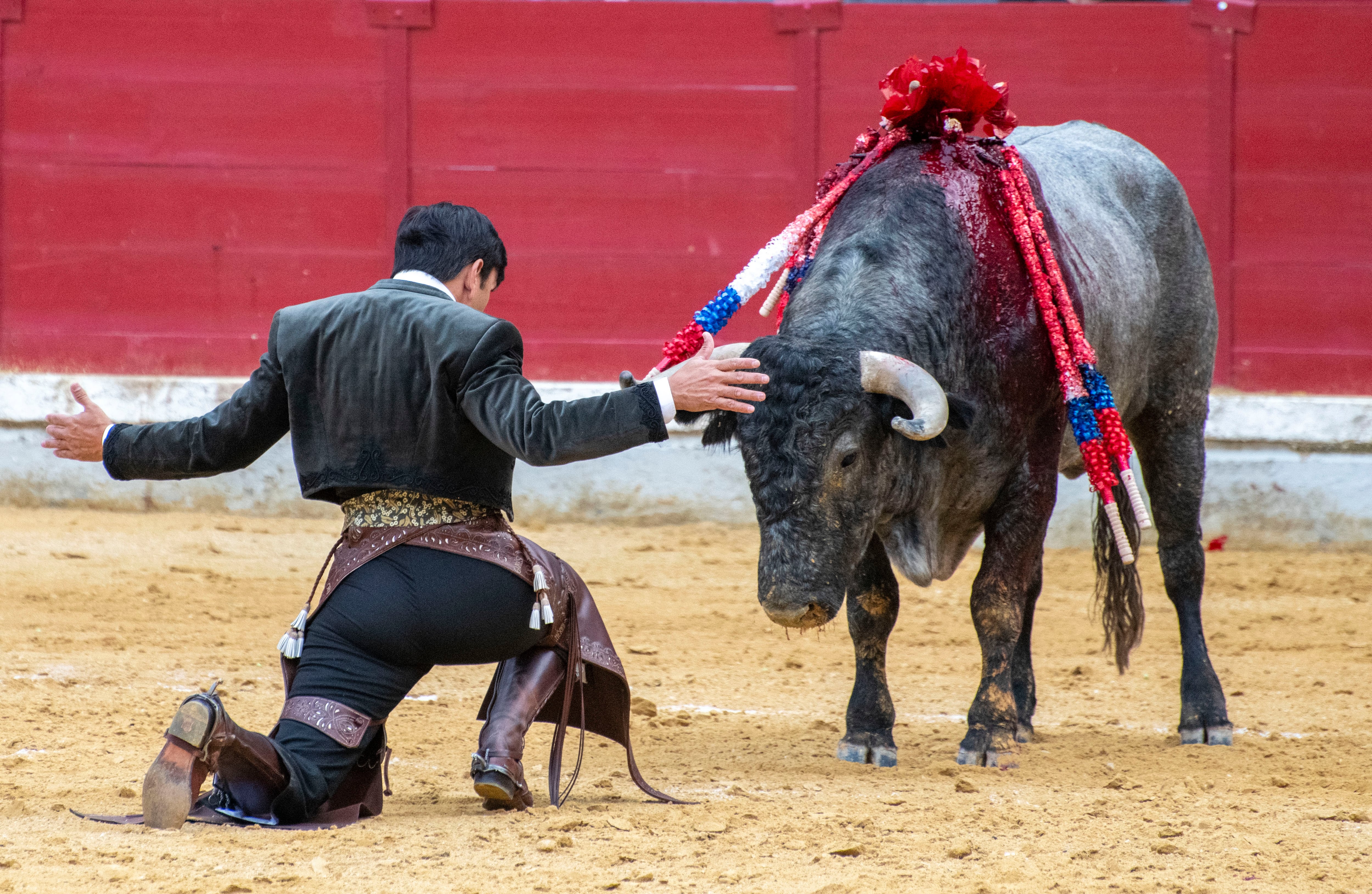 Archivo - JAÉN (ANDALUCÍA), 19/10/2024.- El rejoneador portugués Diego Ventura con un toro este sábado, durante última corrida de la Feria de San Lucas en la plaza de toros de Jaén (Andalucía). EFE/ José Manue Pedrosa