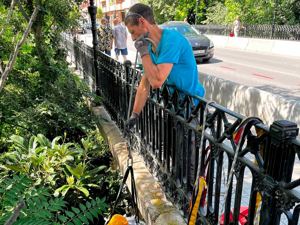 Limpieza de la basura existente en los cauces de la Petxina y Sant Roc