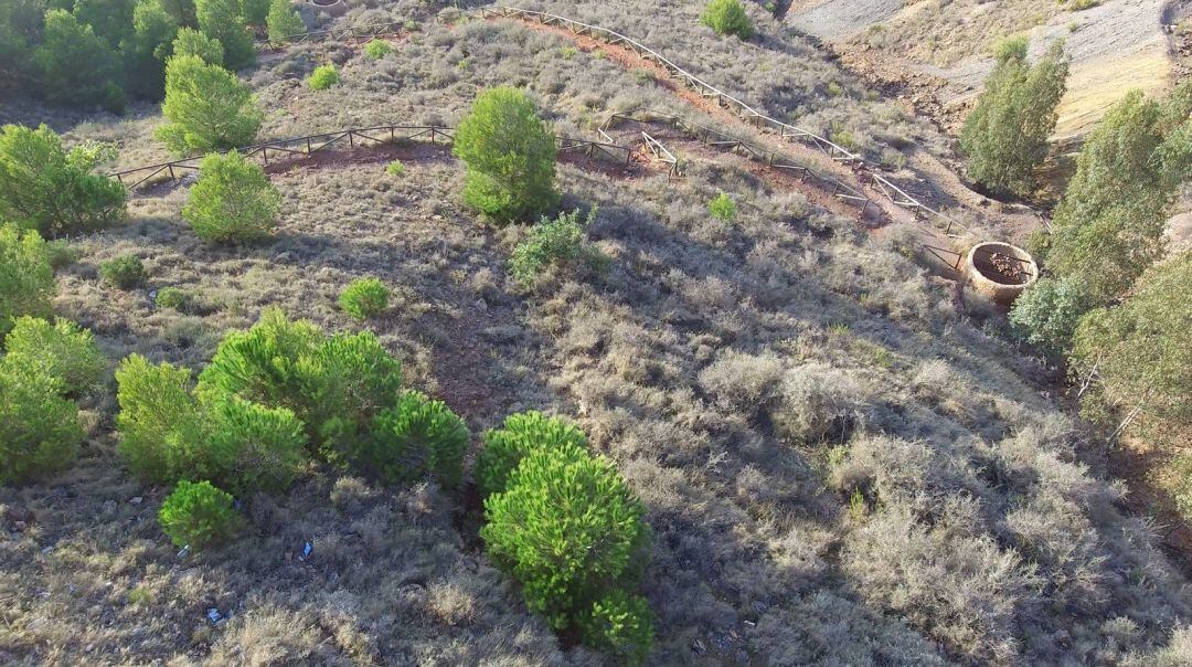 Reforestación Sierra Minera Cartagena-La Unión