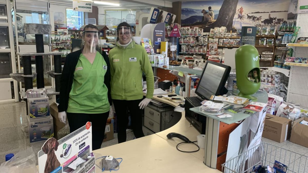 Historias del Hoy Hoy: las clínicas veterinarias para nuestras mascotas