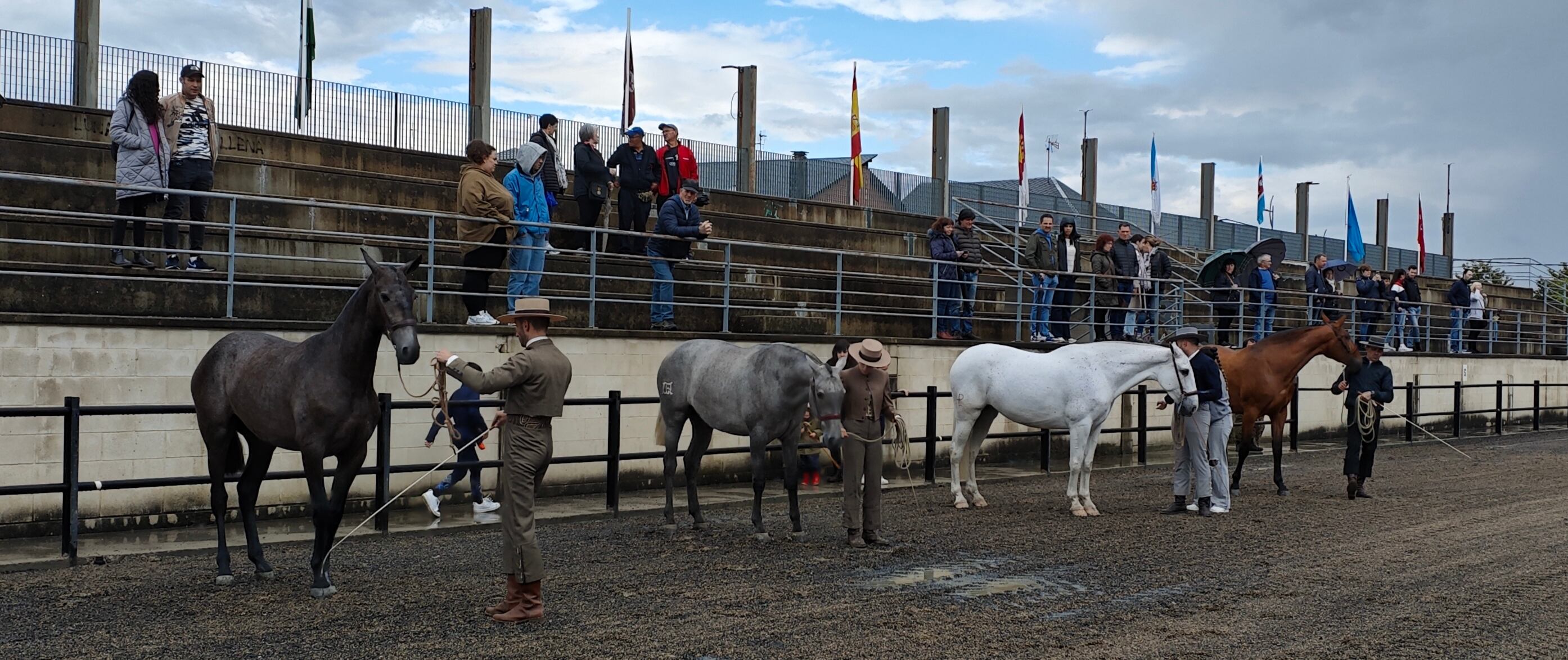 Algunos de los caballos premiados en las distintas categorías