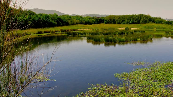 Los humedales se degradan a un ritmo acelerado. Declaraciones del herpetólogo y miembro de Aranzadi Jon Garin en el Día de los Humedales