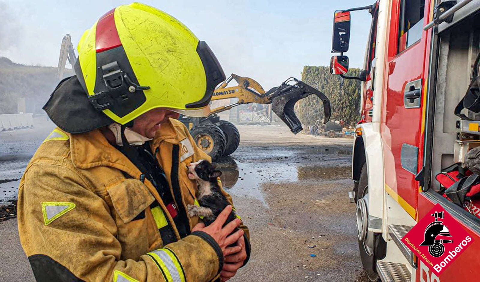 Un bombero del Consorcio de Alicante abraza a un gato que acaba de salvar de las llamas en el incendio de una planta de reciclaje de Villena