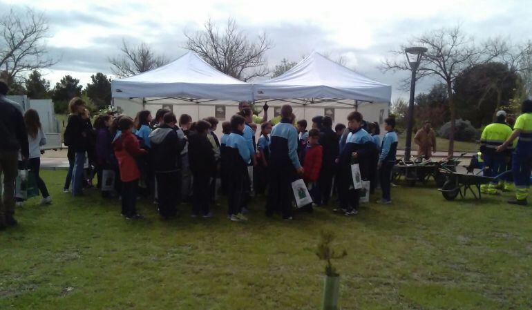 Los escolares reciben instrucciones antes de la plantación