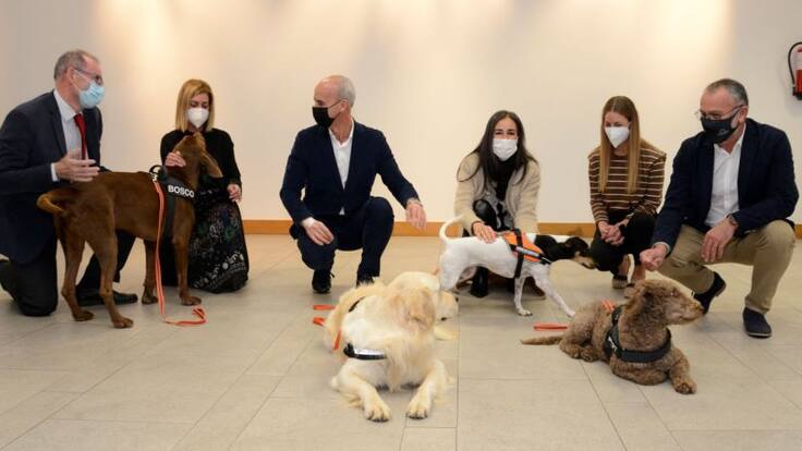 Entrevista a Natalia Vázquez, coordinadora de APICO (24/11/2020)