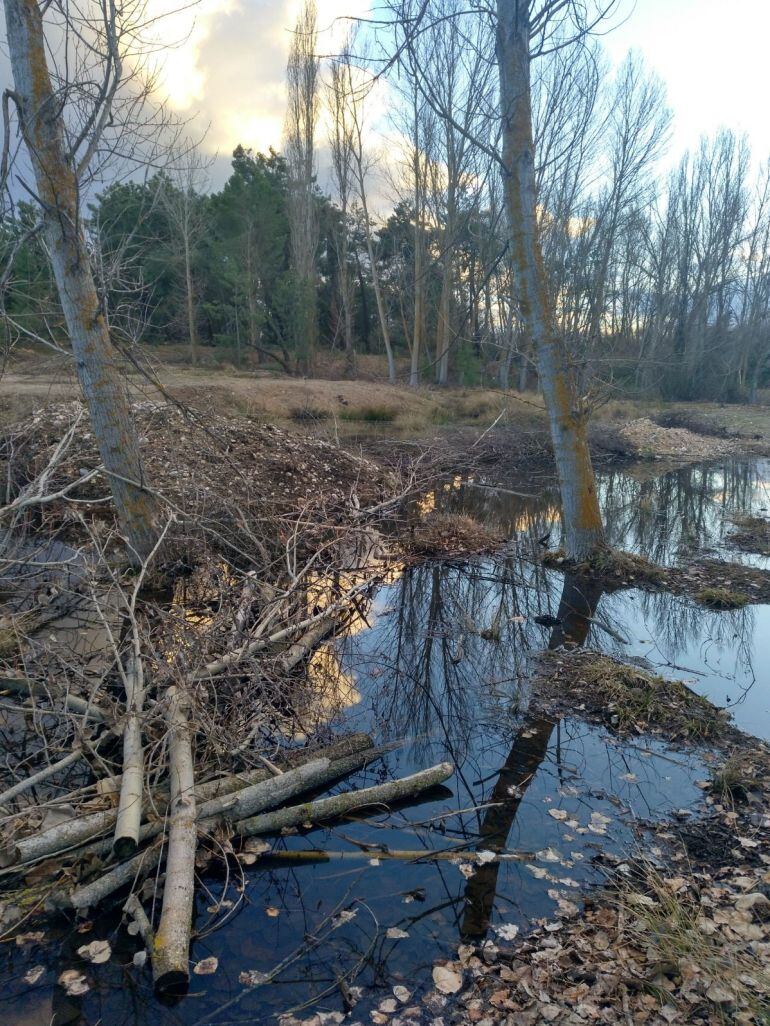 Terreno donde se quiere construir la planta de residuos en Aldeanueva del Codonal.