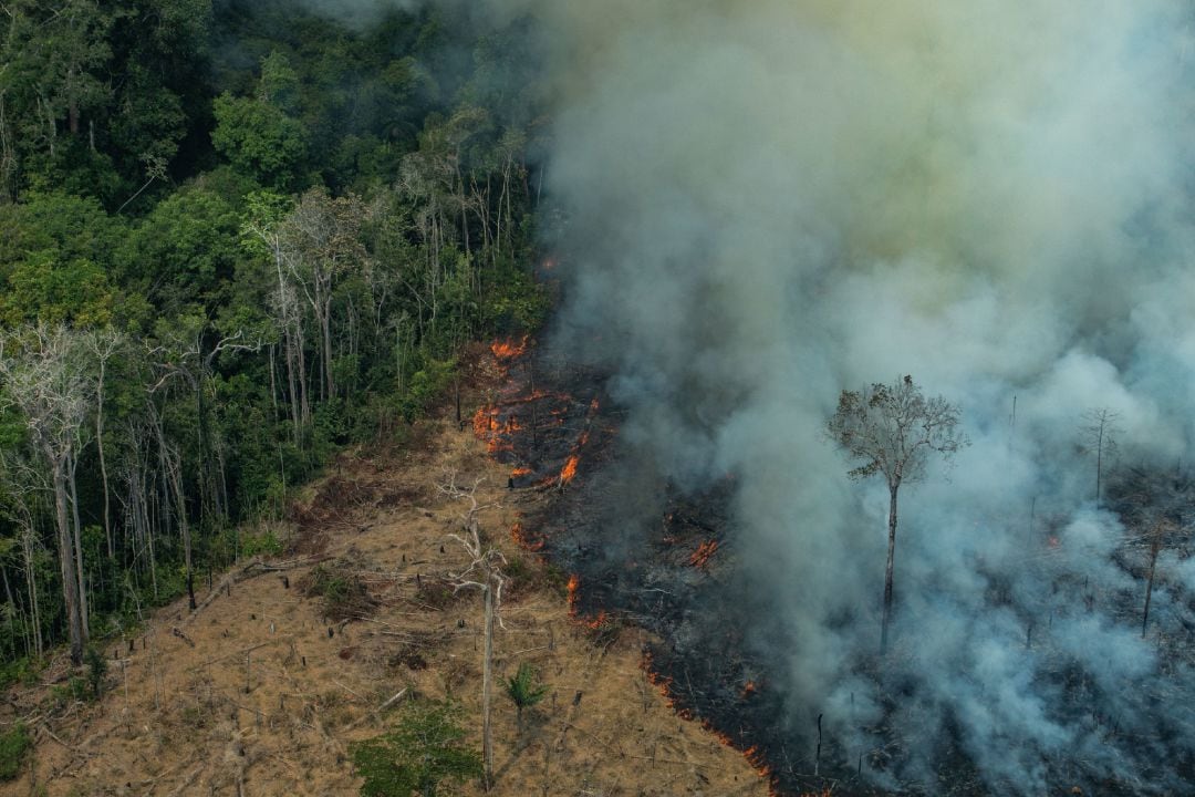 Incendio en el Amazonas