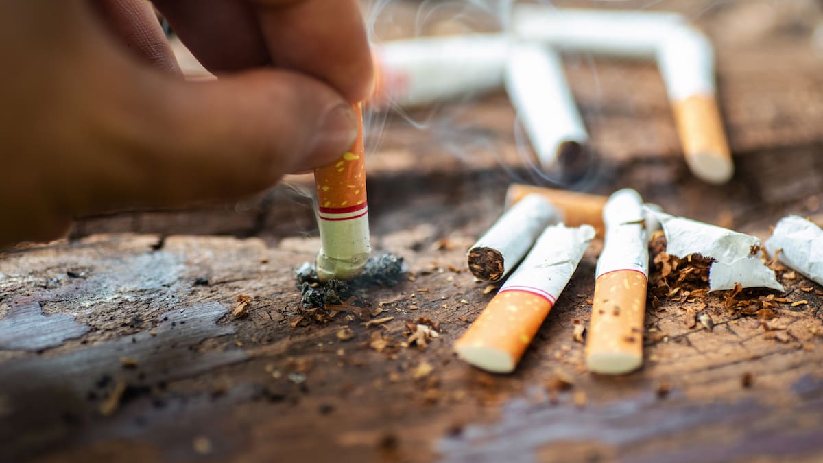 La Mirada de Marta Cantero (20/04/2023)