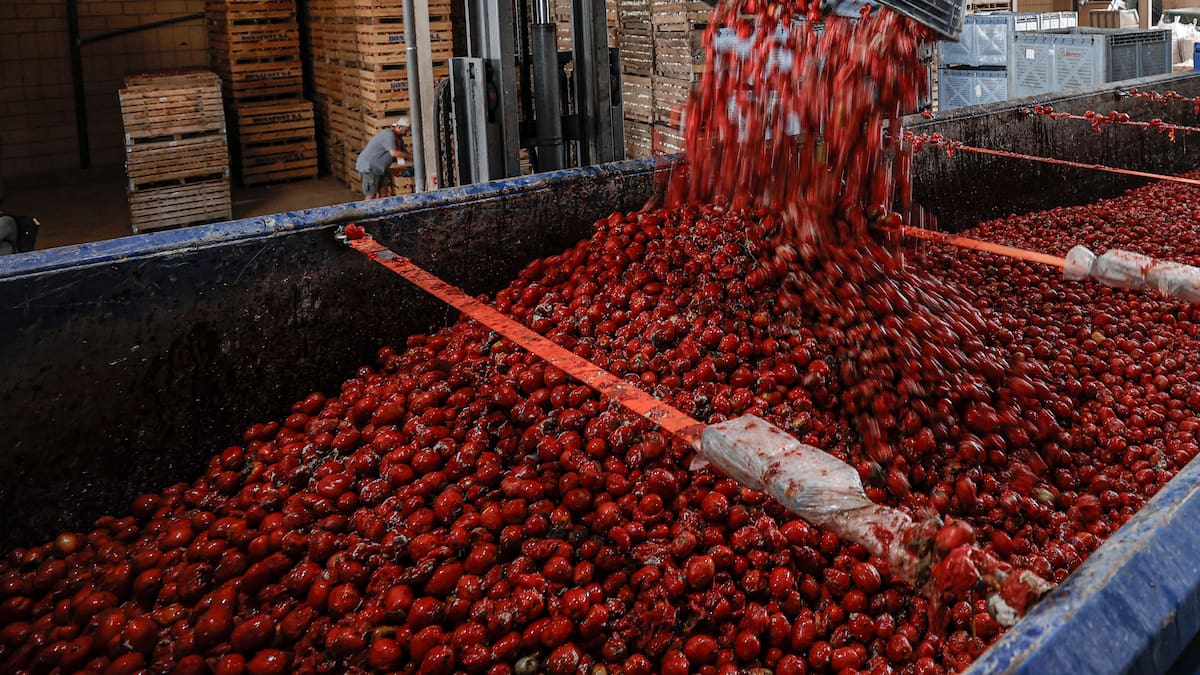 Cuando la lías haciendo la compra online: el error por el que Adriana Mourelos acabó cocinando 60 tomates en una sola tarde