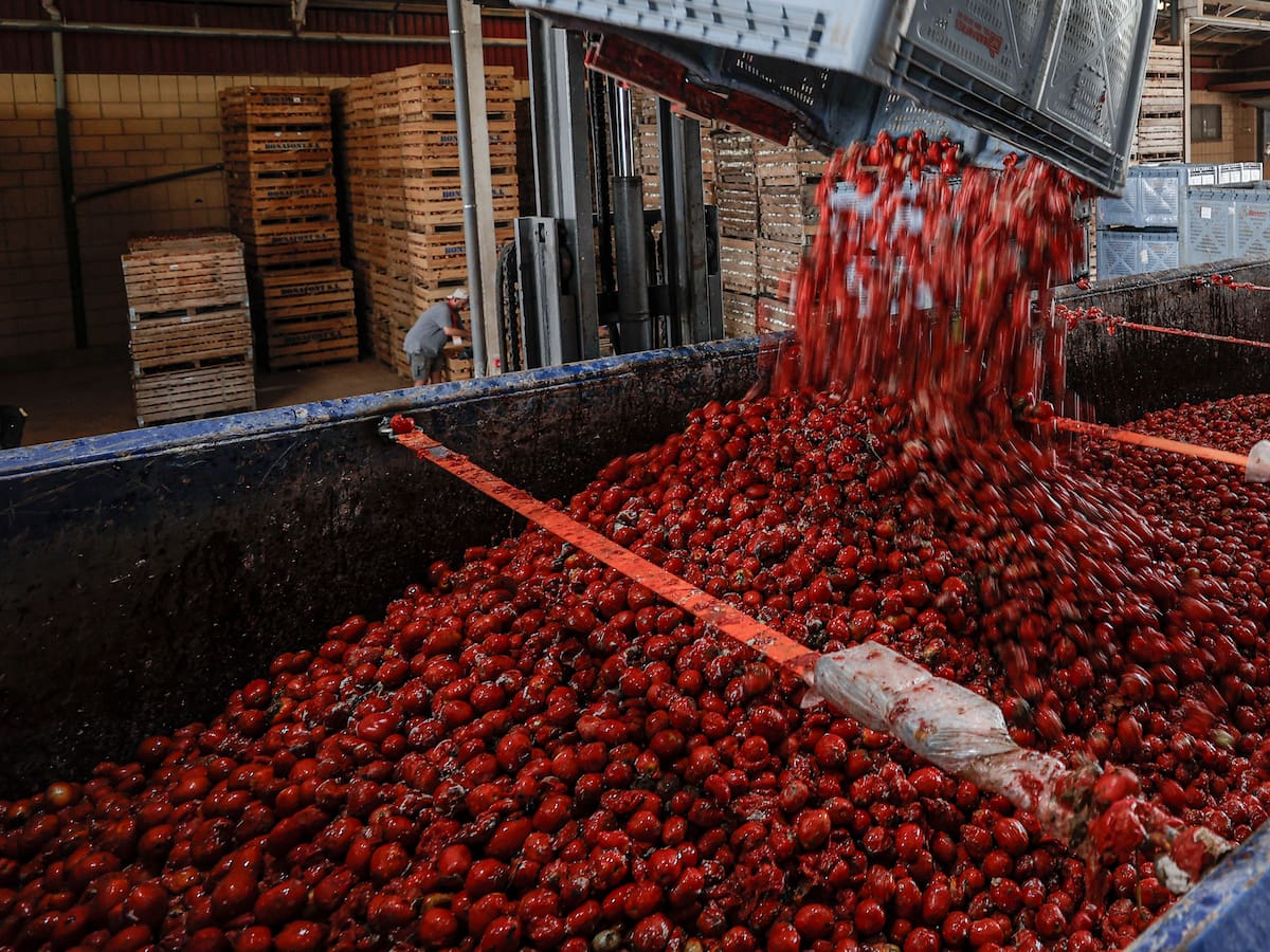 Cuando la lías haciendo la compra online: el error por el que Adriana Mourelos acabó cocinando 60 tomates en una sola tarde